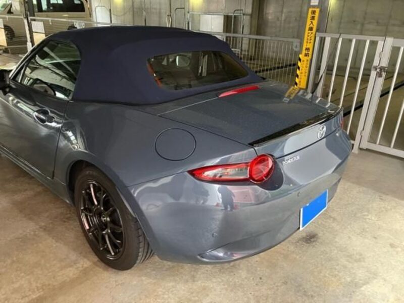 ROADSTER
