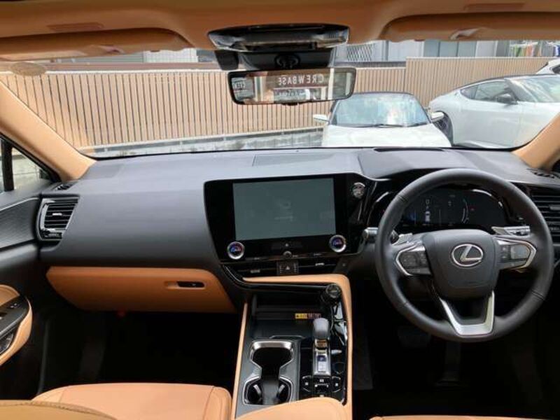 NX