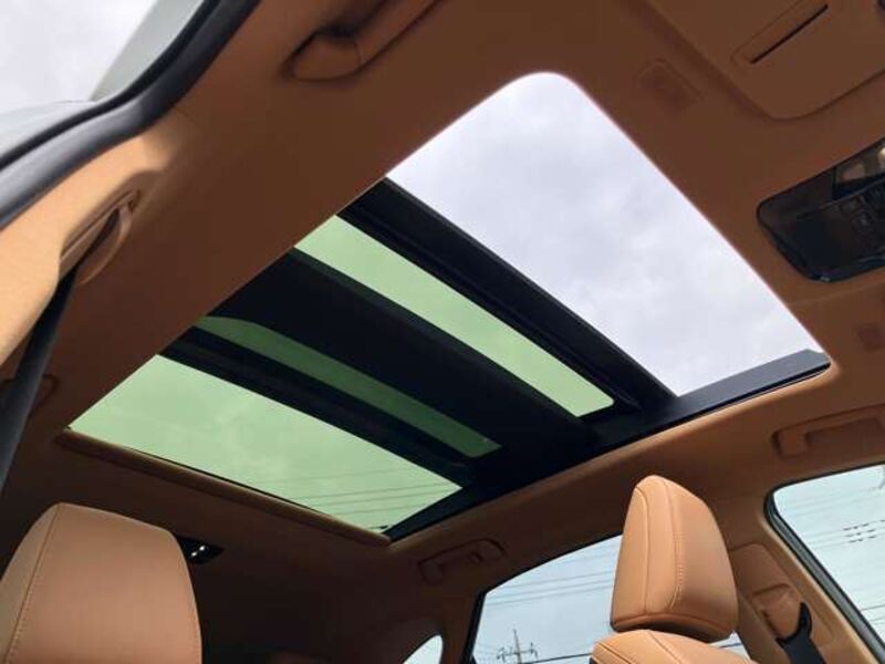 NX