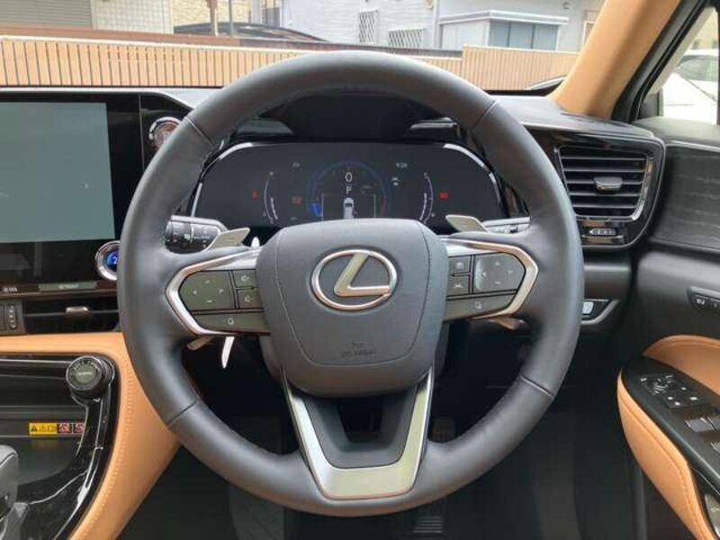 NX