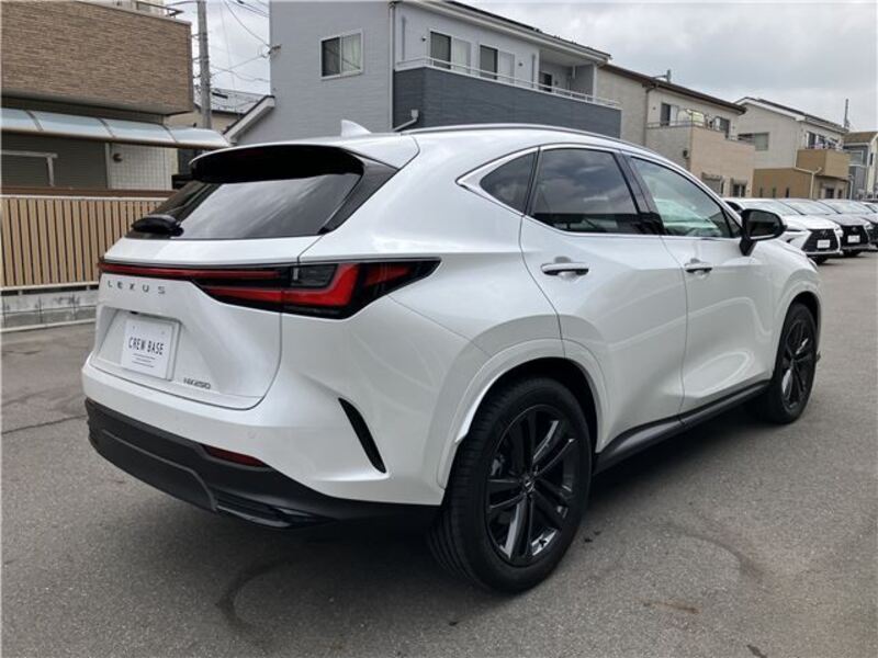 NX