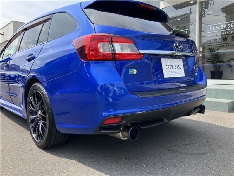 LEVORG