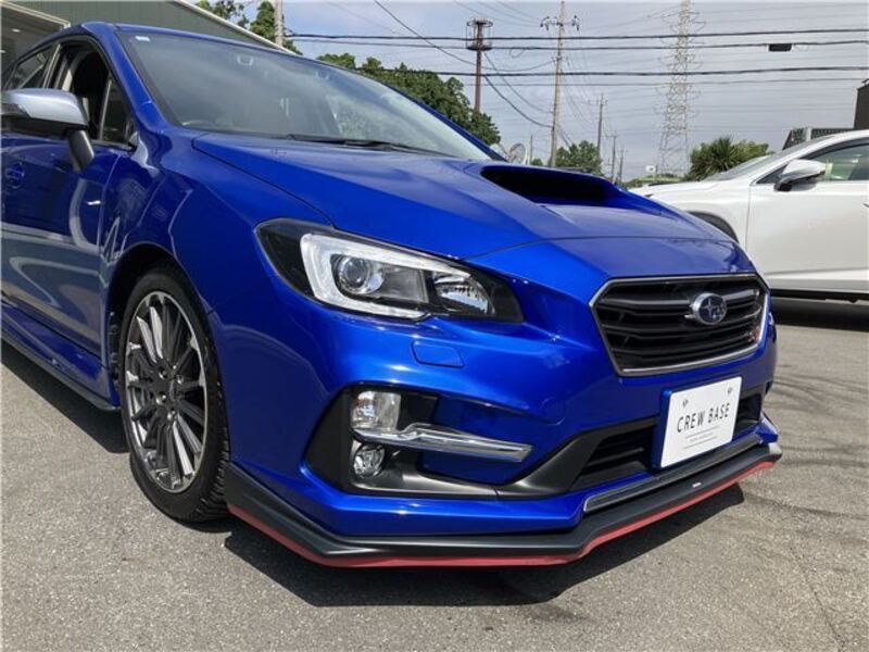 LEVORG