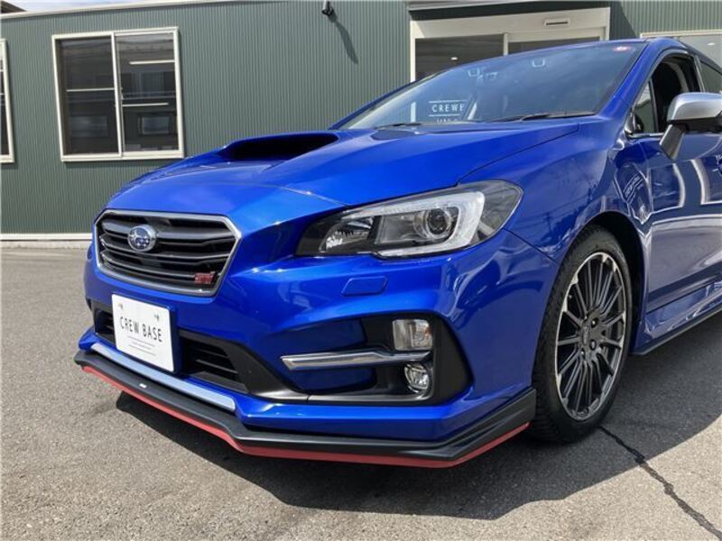 LEVORG