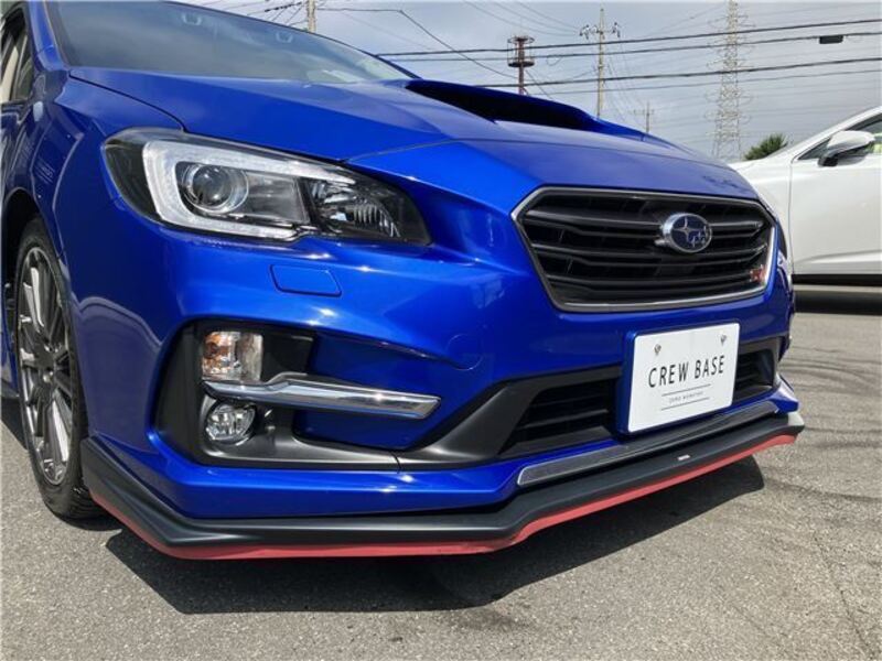 LEVORG