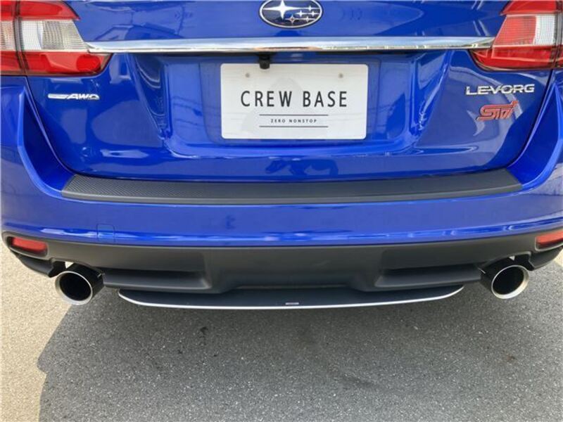 LEVORG