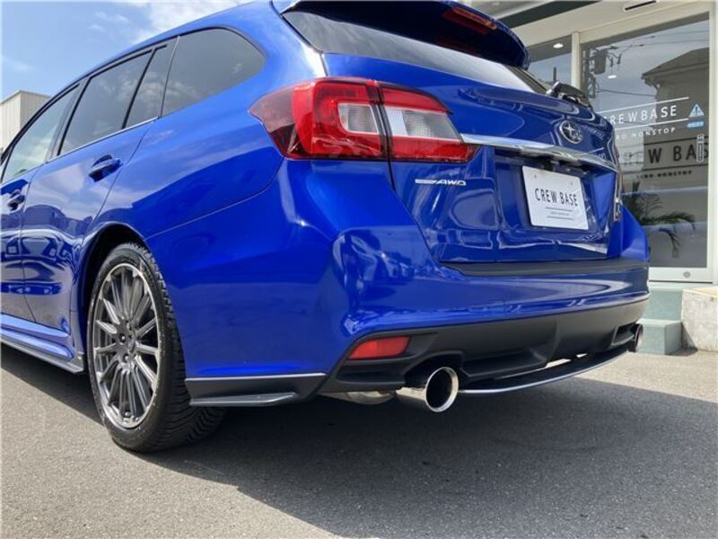 LEVORG