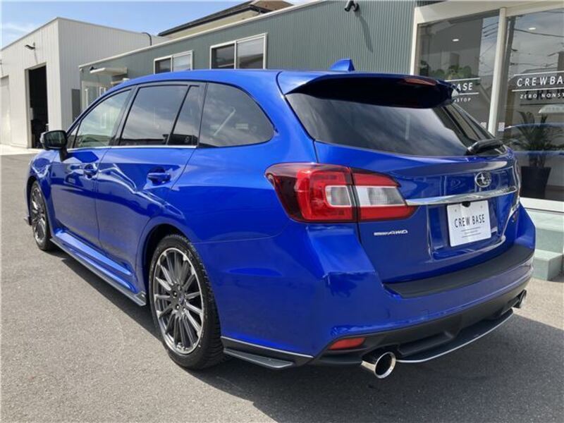 LEVORG