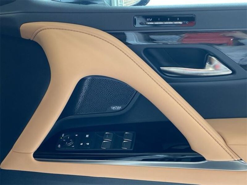 LX