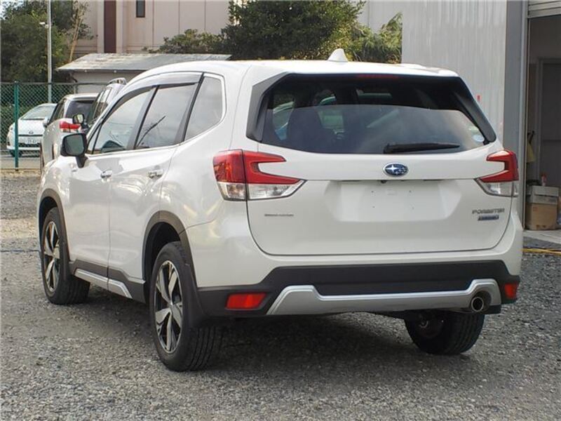 FORESTER