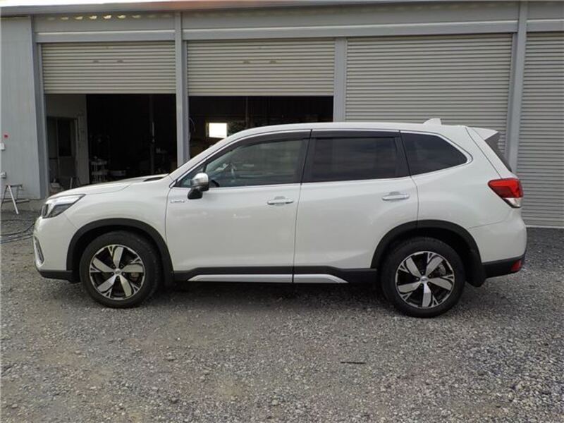 FORESTER