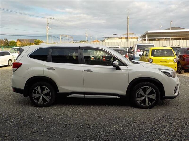 FORESTER