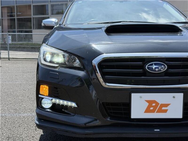 LEVORG
