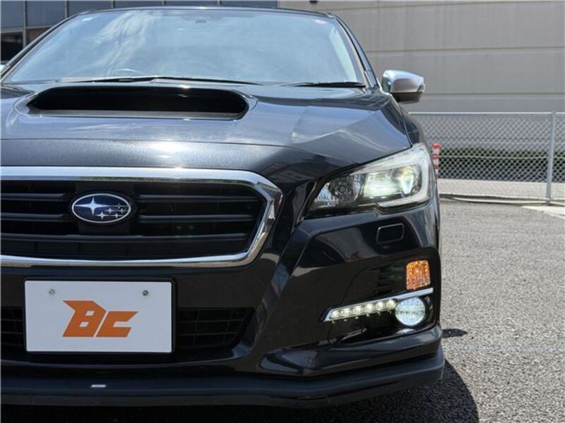 LEVORG