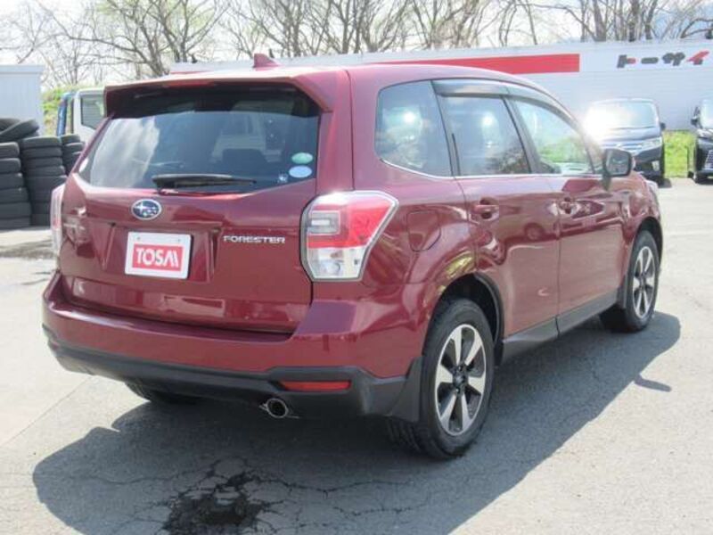 FORESTER