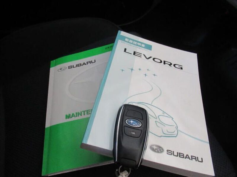 LEVORG