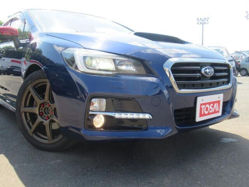 LEVORG