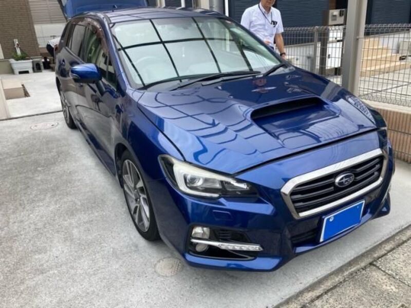 LEVORG-0