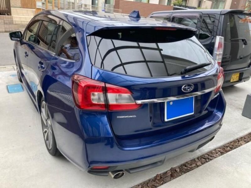LEVORG
