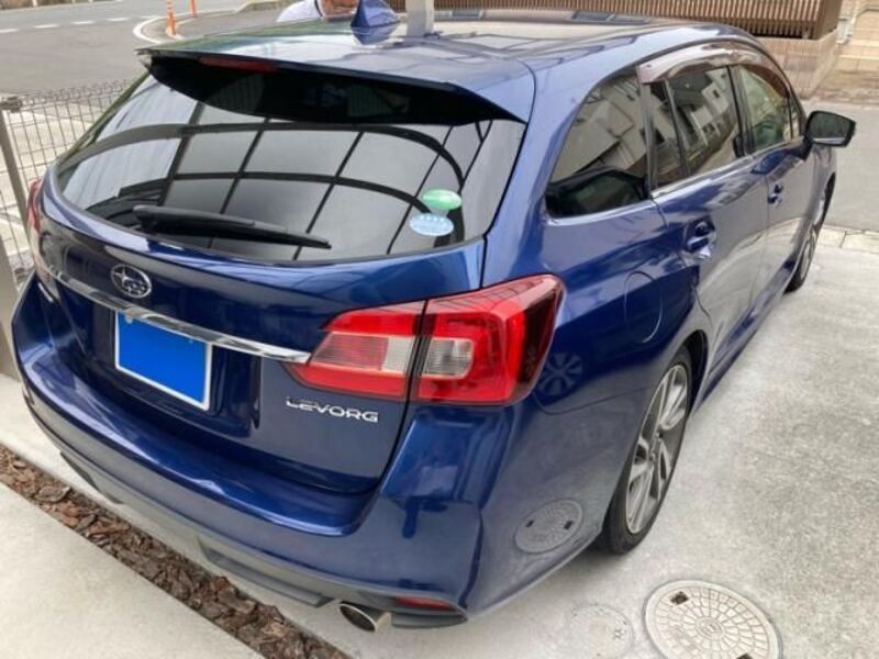 LEVORG