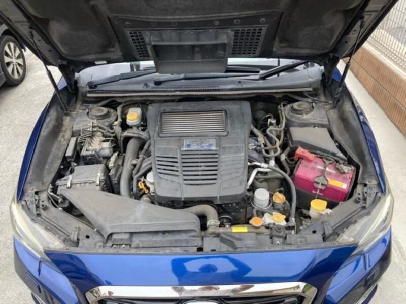 LEVORG