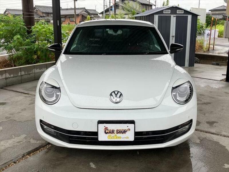 THE BEETLE