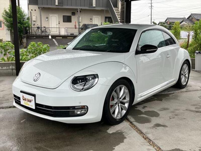 THE BEETLE