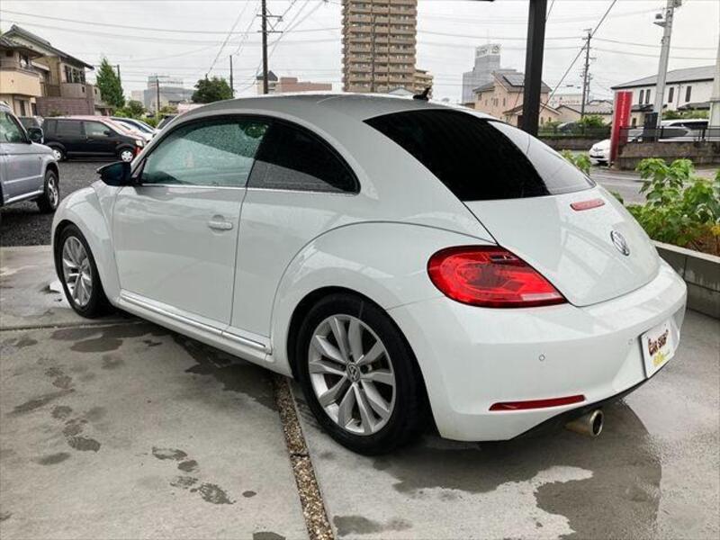 THE BEETLE