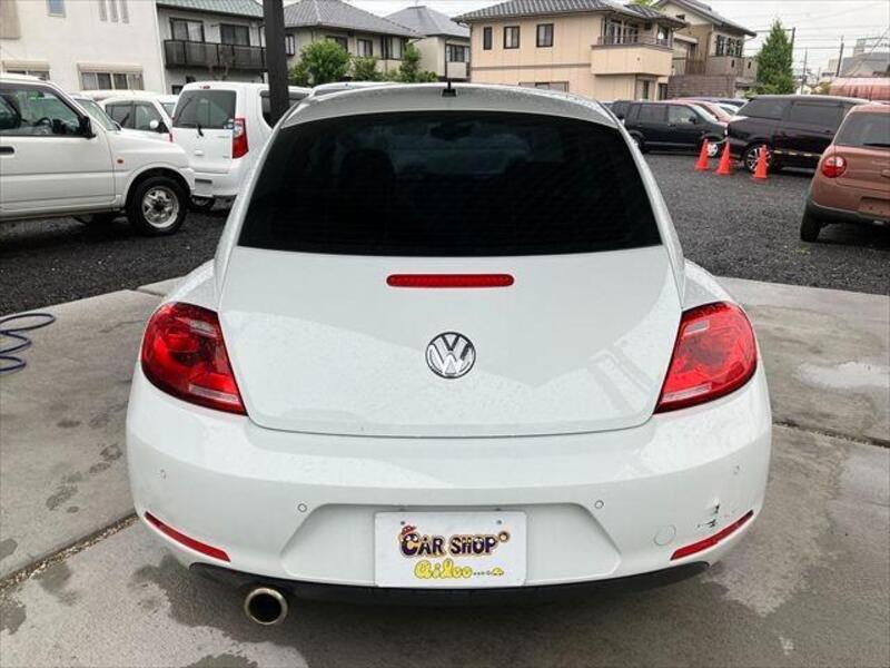 THE BEETLE
