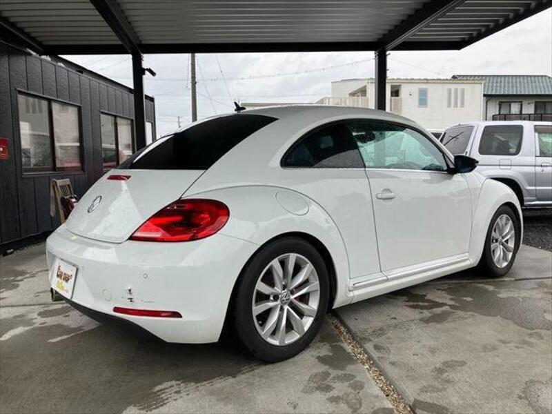 THE BEETLE