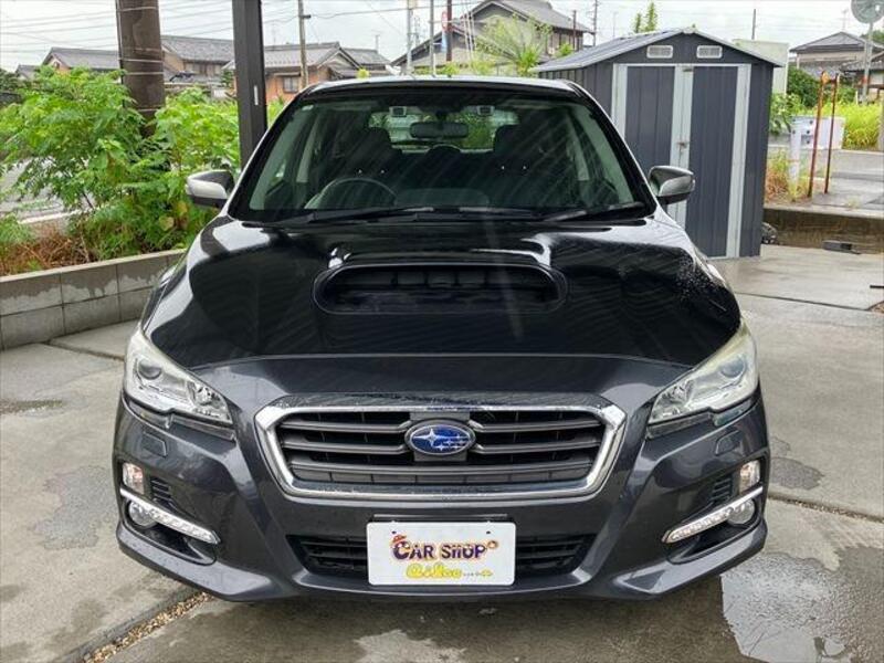 LEVORG