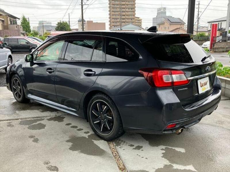 LEVORG