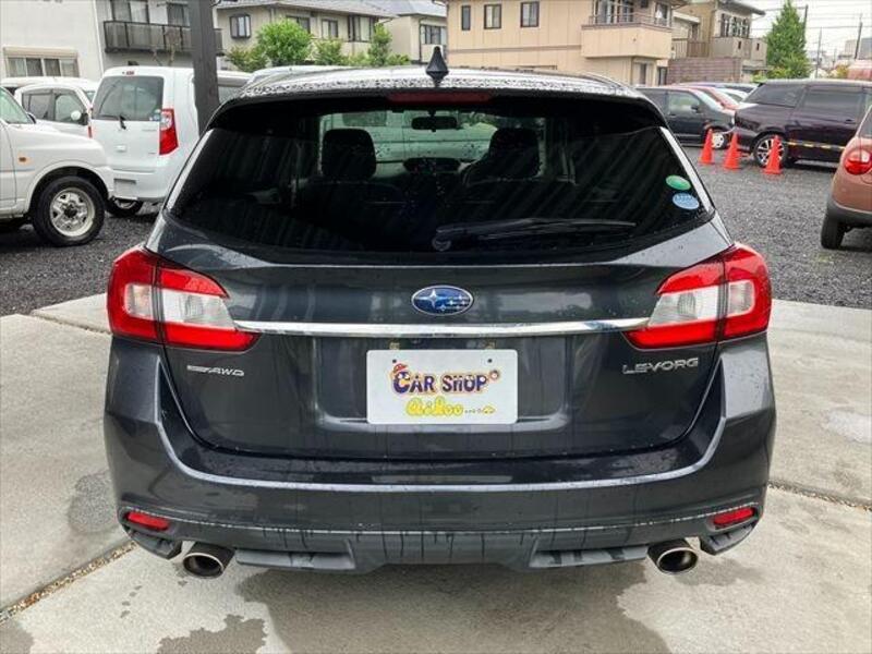 LEVORG