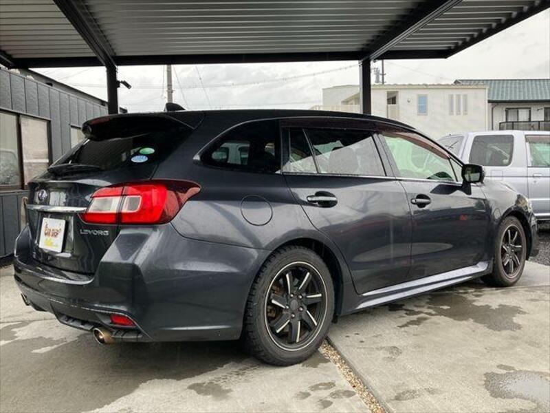 LEVORG