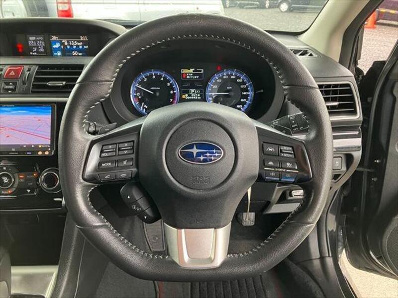 LEVORG
