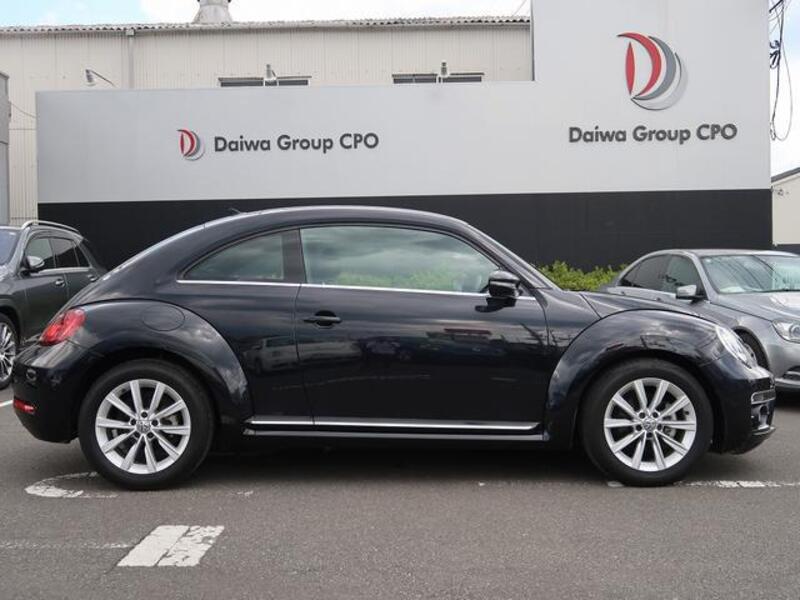 THE BEETLE
