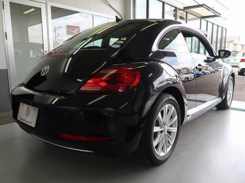 THE BEETLE