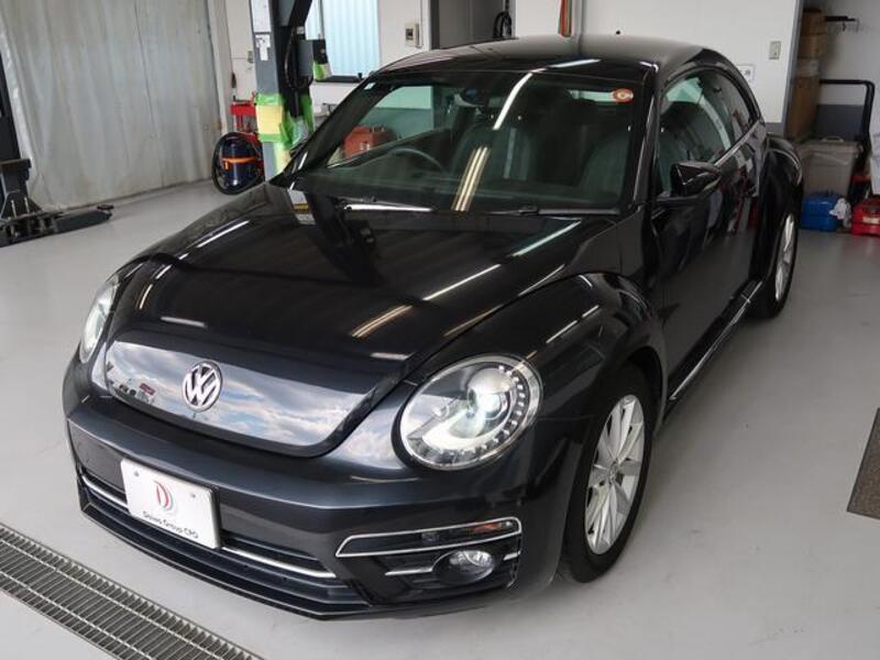THE BEETLE