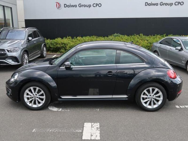 THE BEETLE