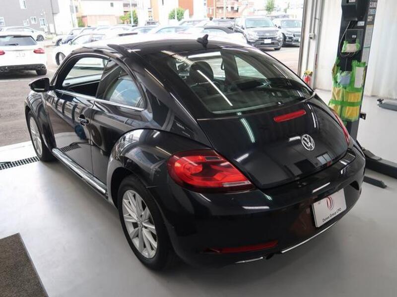 THE BEETLE