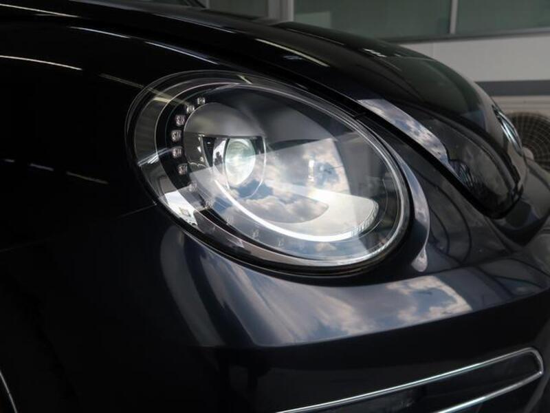 THE BEETLE