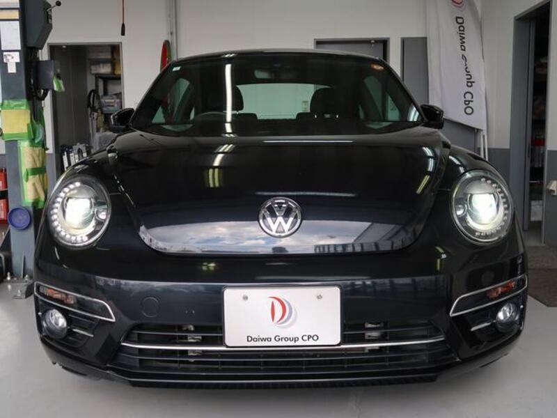 THE BEETLE