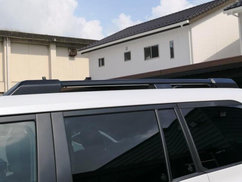 LAND CRUISER 250