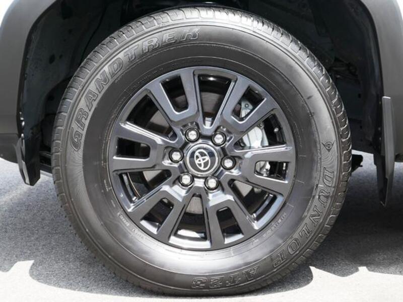 LAND CRUISER 250