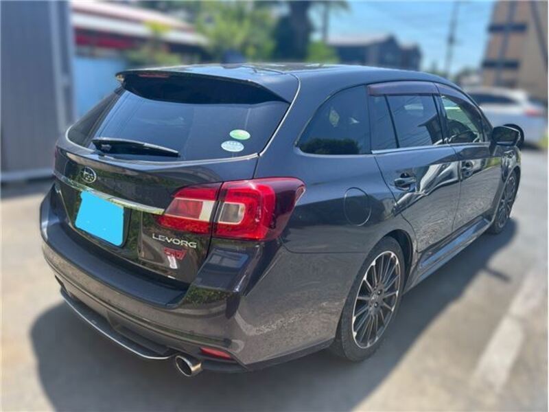 LEVORG