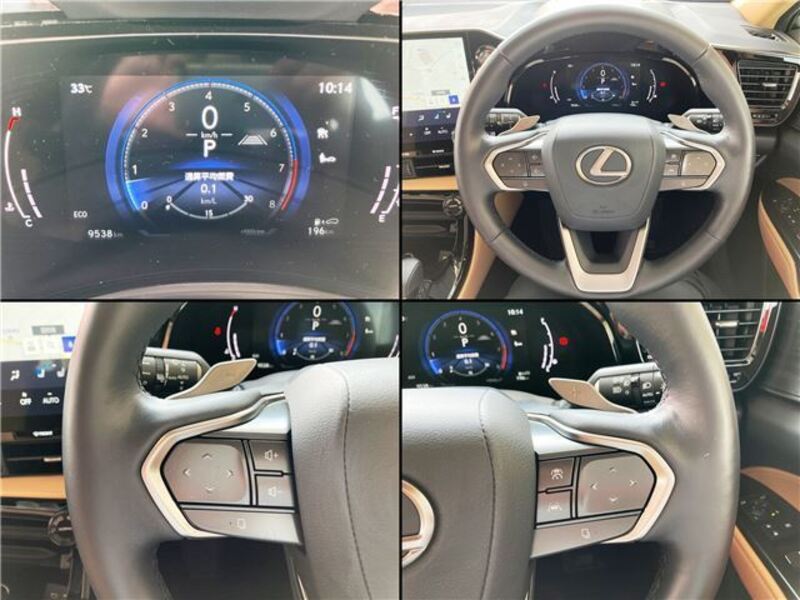 NX