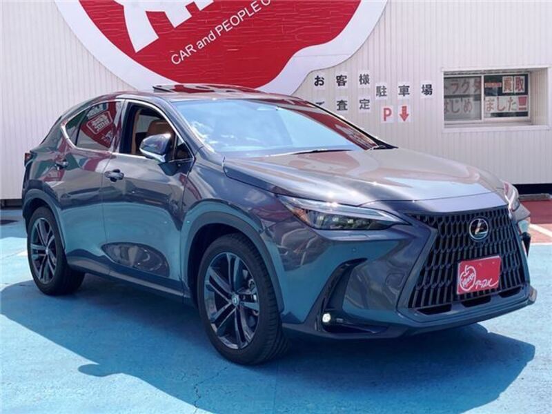 NX