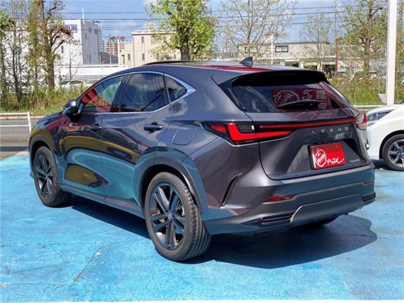 NX