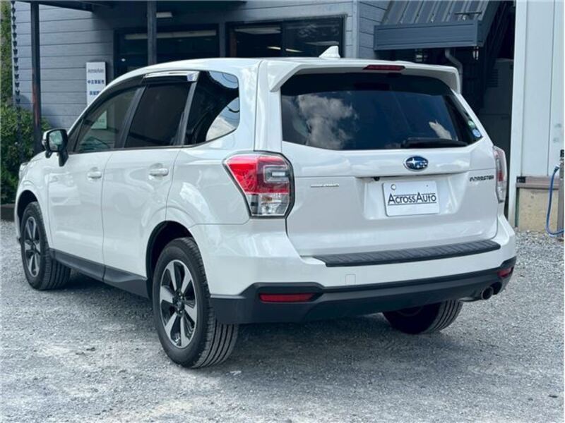 FORESTER