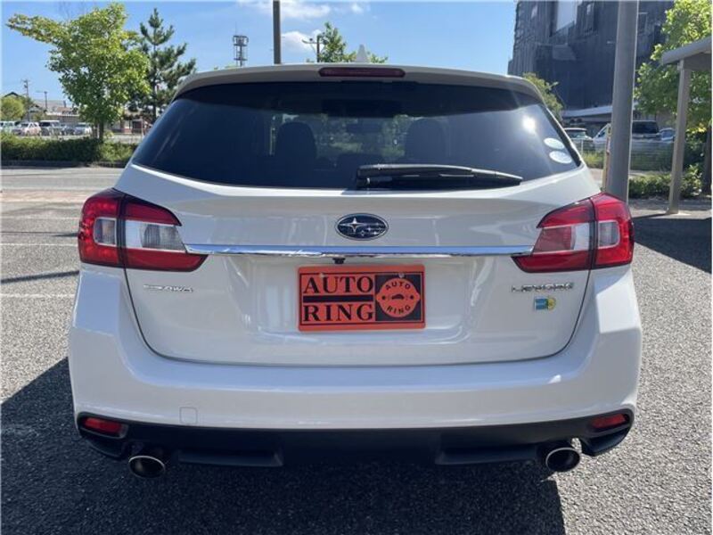LEVORG